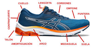 Un zoológico de zapatillas